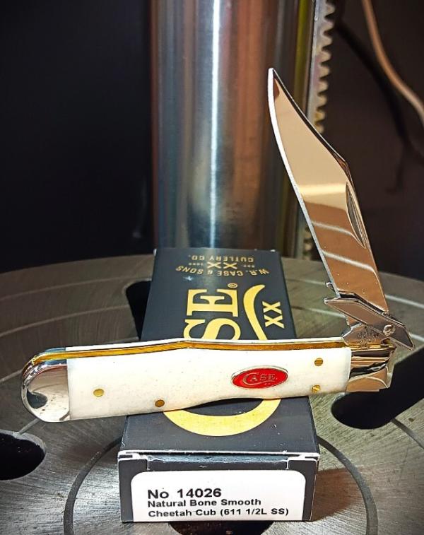 2026 Case XX Cheetah Cub 611 1/2L Natural Bone Smooth - Stainless Blade