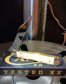 2026 Case XX Cheetah Cub 611 1/2L Natural Bone Smooth - Stainless Blade