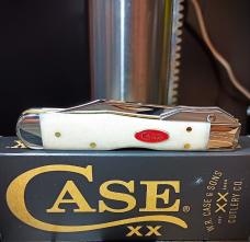 2026 Case XX Cheetah Cub 611 1/2L Natural Bone Smooth - Stainless Blade