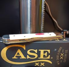 2026 Case XX Cheetah Cub 611 1/2L Natural Bone Smooth - Stainless Blade