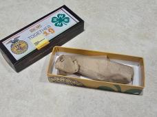 Case XX 2019 Tennessee Farmers Co-Op FFA 4-H Barlow Knife