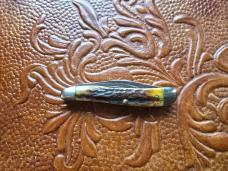 Case XX (1940-1964) 5220 Peanut Stag Knife  Nice Carry Knife