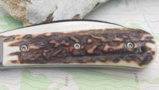 Viper Knives Swayback Jack Fantastic Stag M390 Steel VPCK0616ST Made in Italy NEW