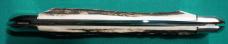 FIGHT'N ROOSTER GIANT 8-1/2 INCH DISPLAY KNIFE GENUINE STAG  #5 OF 6 MADE