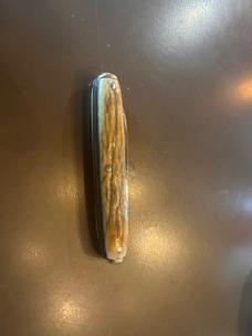 Antique Remington Bone Handle Pocket Knife