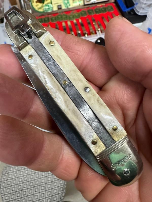 Bonsa Springer
