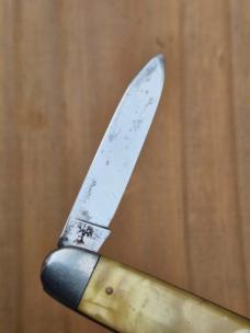3 3/8" Vintage H. Boker & Co's Cutlery (1891-1944) 2-Blade Pen Knife Celluloid Handles