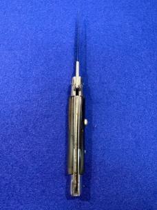 20cm Wasp Body Sparrow Wing BOBC