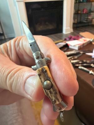 Horizontal INOX Stamped Mini Picklock