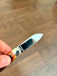 2009 SCHATT & MORGAN QUEEN BABY SUNFISH AMBER SAWCUT BONE 042265 | 1OF 100