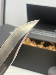 Buck USA 119GRS1-B Special Pro Fixed Blade With Sheath New In Box