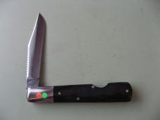 TUNA VALLEY 2014 BUFFALO HORN FISH SCALER #3