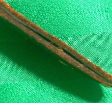 Small German Blackhawk Stag Handled Knife