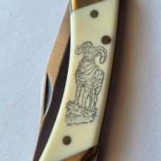 Vintage 1982 Schrade USA SC507 Scrimshaw Bighorn Ram Lockback Knife CIB Sheath
