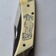 Vintage 1982 Schrade USA SC507 Scrimshaw Bighorn Ram Lockback Knife CIB Sheath