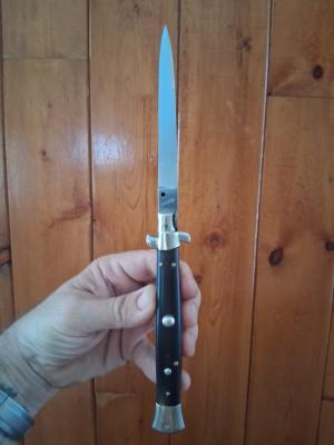 11quot Transitional black Horn