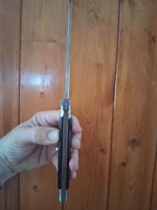 11" Transitional black Horn