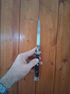11" Transitional black Horn