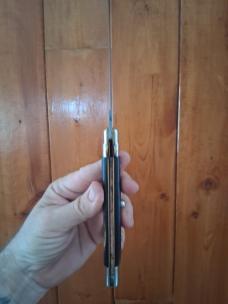 11" Transitional black Horn