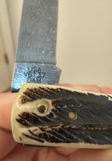 Case XX USA 2023 Vintage Bone Damascus 77461 Sod Buster Jr Pocket Knife