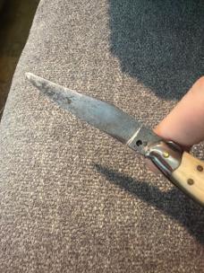 Vintage 16cm White Horn Fish Picklock