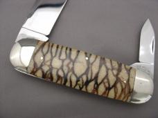 Case Classic 2050 Tiger Coral Elephant Toenail Prototype Knife