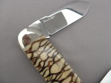 Case Classic 2050 Tiger Coral Elephant Toenail Prototype Knife