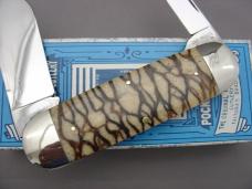 Case Classic 2050 Tiger Coral Elephant Toenail Prototype Knife