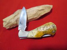 TAYLOR CUTLERY ELK stamp Stag Horn Handles Small Tiny Lockback Knife