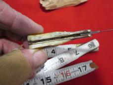 TAYLOR CUTLERY ELK stamp Stag Horn Handles Small Tiny Lockback Knife