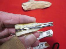 TAYLOR CUTLERY ELK stamp Stag Horn Handles Small Tiny Lockback Knife
