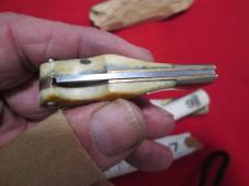 TAYLOR CUTLERY ELK stamp Stag Horn Handles Small Tiny Lockback Knife
