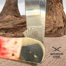 Case XX 31960 2023 Folding Hunter 2-Blade Carbon Steel Bone Handle w/Sheath NIB