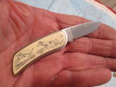Modern ZIPPO USA Small Tiny Pocket Knife Scrimshaw Dog 
