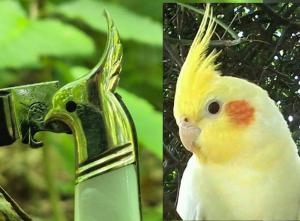 5 34quot Gorgeous Cockatiels Head Bolsters Half Congress Knife Genuine MOP Handles