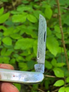 4 1/4" Half Congress Knife, Genuine Nice MOP Handles, Damascus 