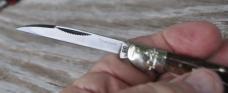 Rough Rider RR1769 3 1/2" Closed Factory Mint Red Backed Bone Handles Long Warncliff Blade