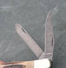 Parker Edwards J'ville AL 2 Bl Trapper Factory Mint 4 1/8" Closed Stag Snap Both Ways