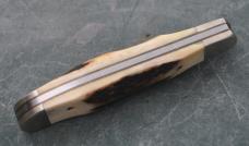 Parker Edwards J'ville AL Clip Blade  Factory Mint 3 1/2" Closed Stag Factory Mint Nice Snap