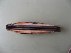 GREAT EASTERN NORTHFIELD 735208EC SCOUT BURNT STAG