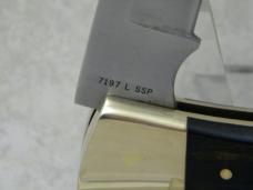 Case XX Stainless USA 7 Dot (1973) 7197 L SSP Wood Shark Tooth Lockback Knife