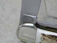 Fight'n Rooster Germany Stag Canoe Jack Knife 1993 International Cutlery Club 1 of 150