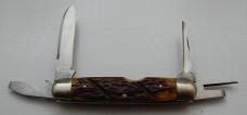 Cattaraugus In Excellent Condition With Brown Jigged Bone Covers 3 5/8" Long (513)