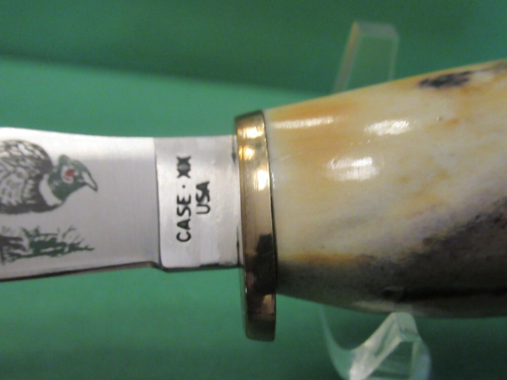 Case XX Stag Fixed Blade Pheasant Model 523 3 1/4 SSP