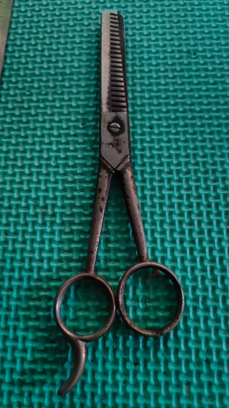 Italian Scissors