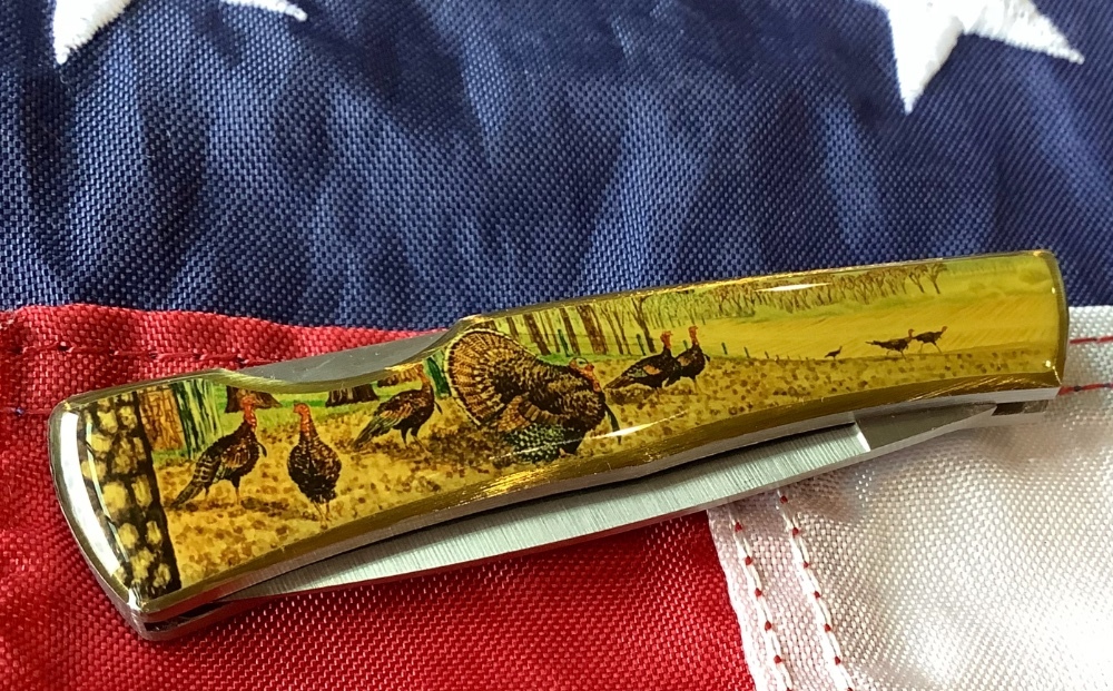 Case xx 1984 Medium Lockback (mdl# 059L SS) w/ Turkey Stroling in