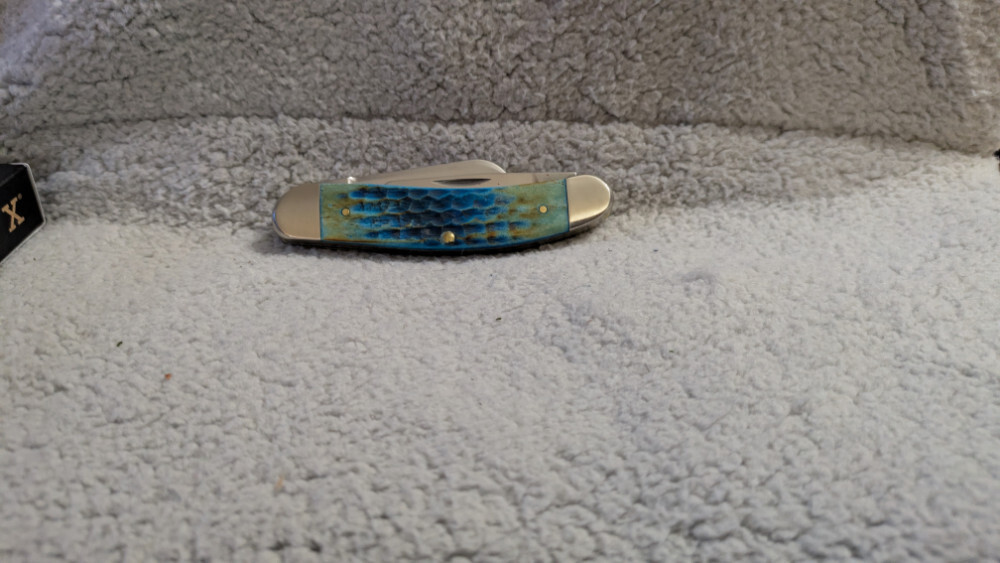 case XX 2025 Sowbelly Sea Dragon SMKW Exclusive