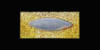 Case XX knife shield 1905 - 1915