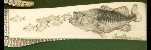 Colin Paterson - Completed Largemouth Bass Scrimshaw - Image 11
