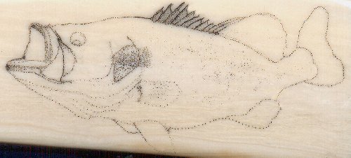 Largemouth Bass Scrimshaw Project - Image 2